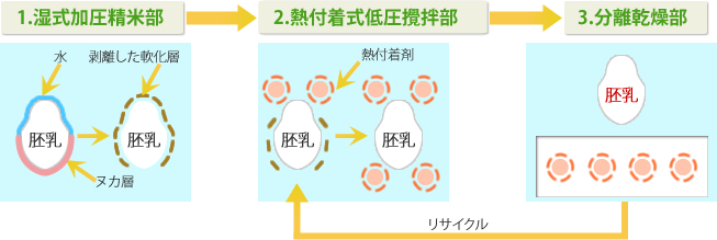 は 無 洗米 と